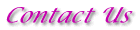 Contact Us